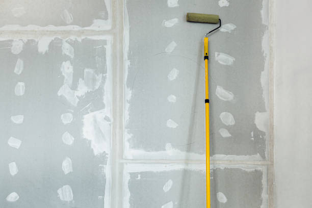 Best Mold Odor Removal Services  in Bullhead City, AZ