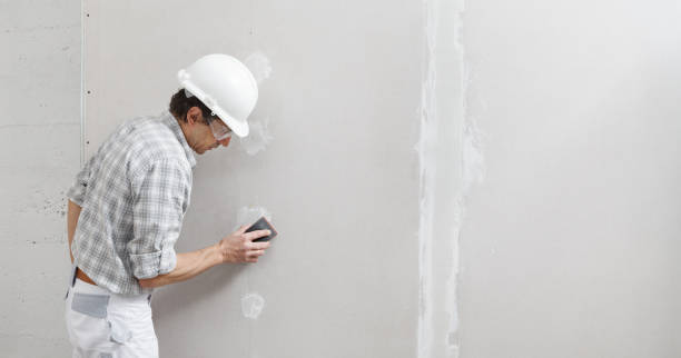 Best Mold Remediation for Healthcare Facilities  in Bullhead City, AZ