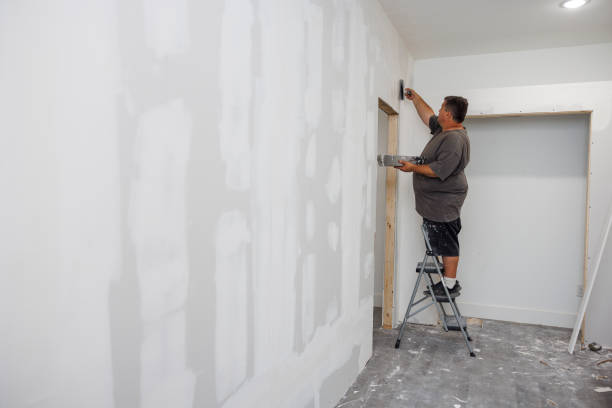 Best Comprehensive Air Testing for Mold Contaminants  in Bullhead City, AZ