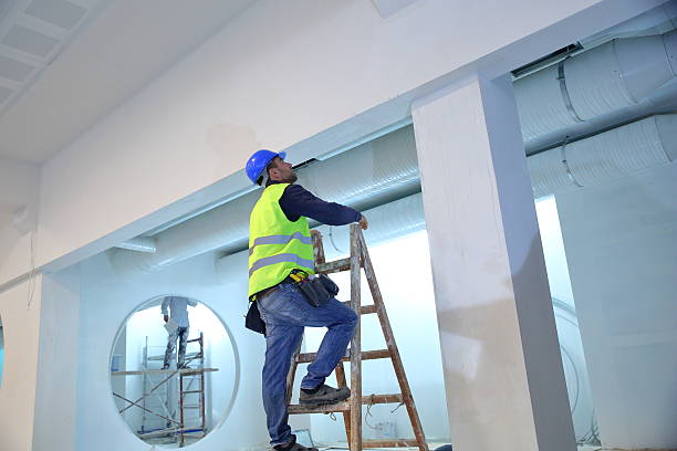 Best Mold Removal for HVAC Installations  in Bullhead City, AZ